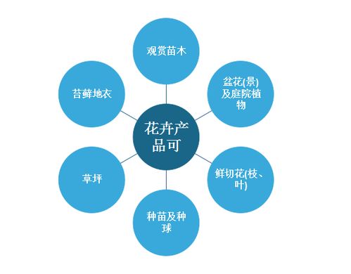 2022年中國花卉種植行業(yè)分析報告 行業(yè)發(fā)展格局與投資潛力評估